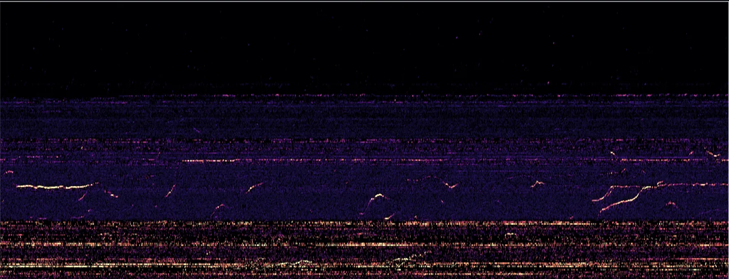 A split-beam echogram — a dense field of acoustic returns with faint arc-shaped traces visible in the mid-range band.